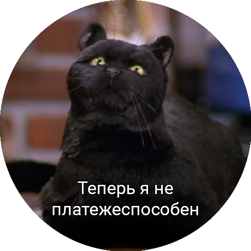 😑 Стикер «Кот Салем» для Telegram