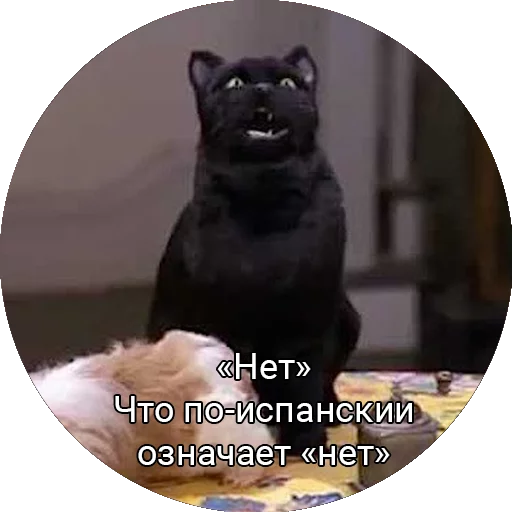 👎 Стикер «Кот Салем» для Telegram