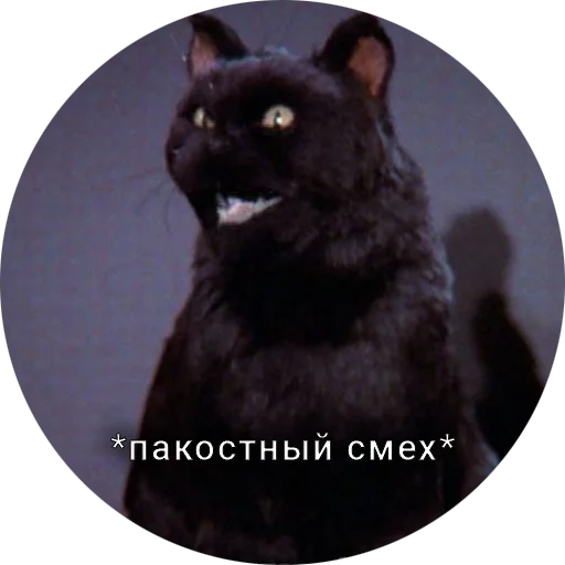 🥴 Стикер «Кот Салем» для Telegram