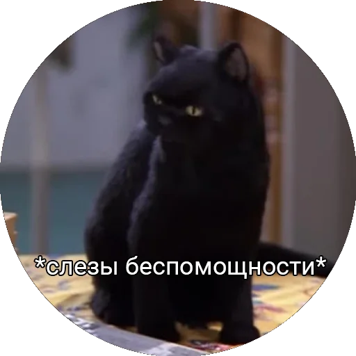 😥 Стикер «Кот Салем» для Telegram