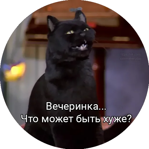 😐 Стикер «Кот Салем» для Telegram