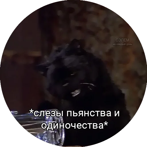 😭 Стикер «Кот Салем» для Telegram