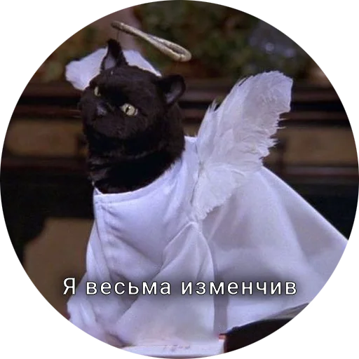 🥸 Стикер «Кот Салем» для Telegram
