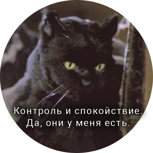 😑 Стикер «Кот Салем» для Telegram