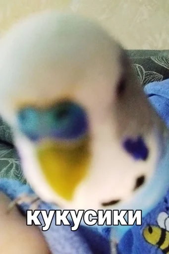 🐦 Стикер «Кеша» для Telegram