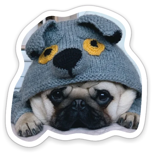 Стикерпак sad_pug_leonid для Telegram