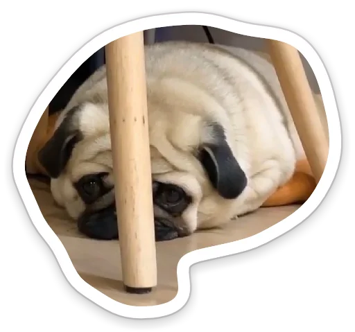 😔 Стикер «sad_pug_leonid» для Telegram