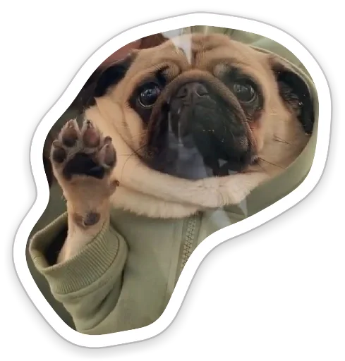 🖐 Стикер «sad_pug_leonid» для Telegram