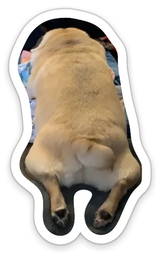 😑 Стикер «sad_pug_leonid» для Telegram