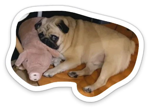🥺 Стикер «sad_pug_leonid» для Telegram