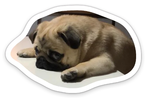 ☹️ Стикер «sad_pug_leonid» для Telegram