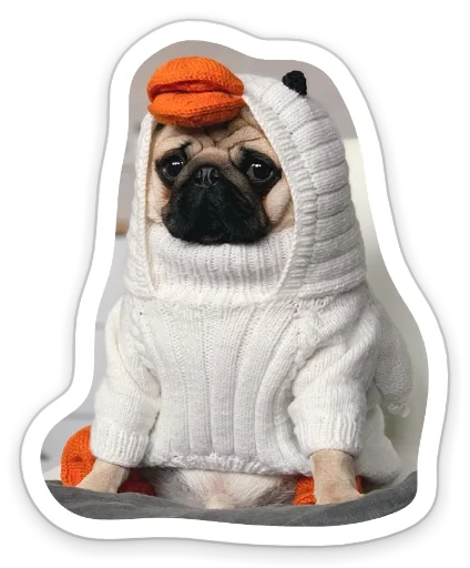 😶 Стикер «sad_pug_leonid» для Telegram