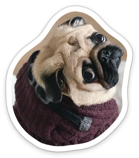 🙄 Стикер «sad_pug_leonid» для Telegram