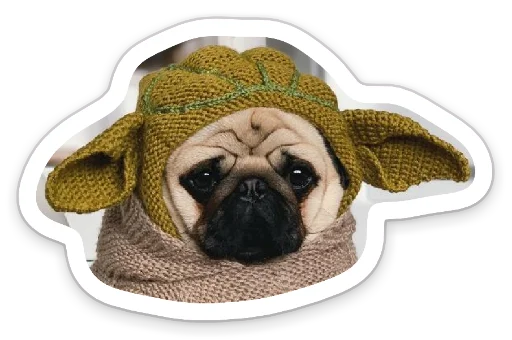 😐 Стикер «sad_pug_leonid» для Telegram