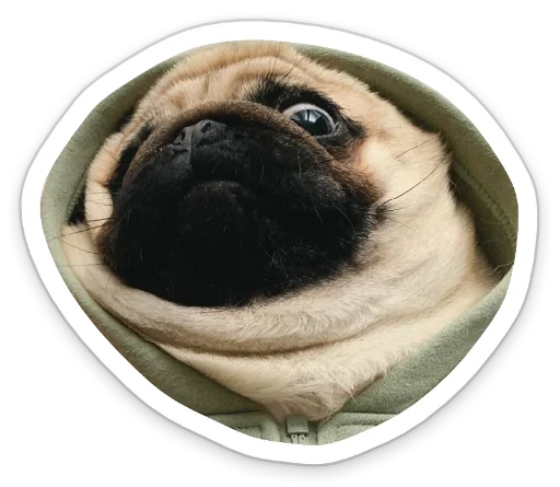 😳 Стикер «sad_pug_leonid» для Telegram