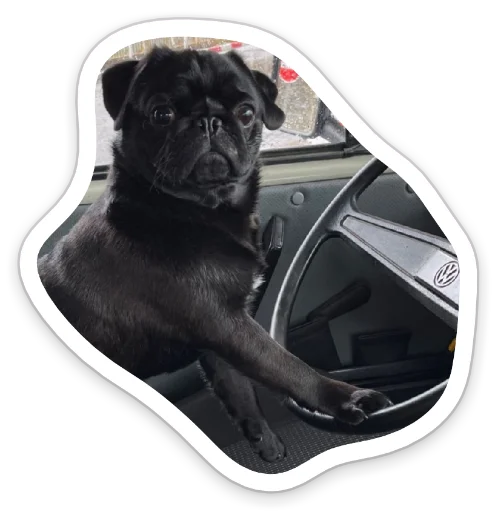 🚗 Стикер «sad_pug_leonid» для Telegram