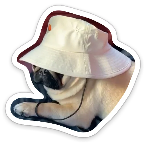😎 Стикер «sad_pug_leonid» для Telegram