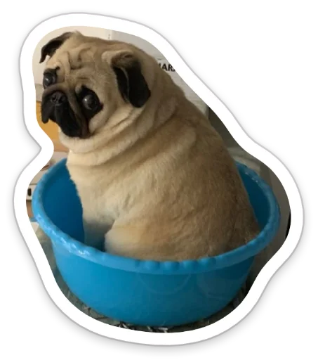 🙄 Стикер «sad_pug_leonid» для Telegram