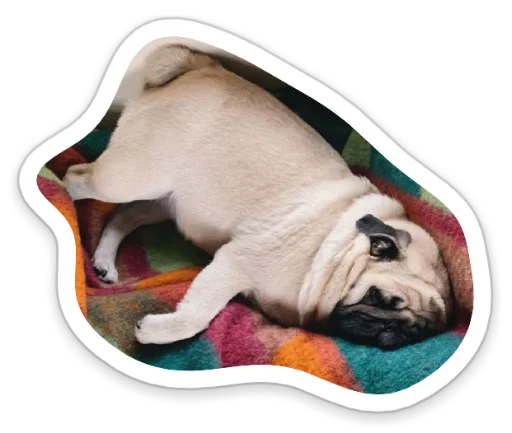 😴 Стикер «sad_pug_leonid» для Telegram