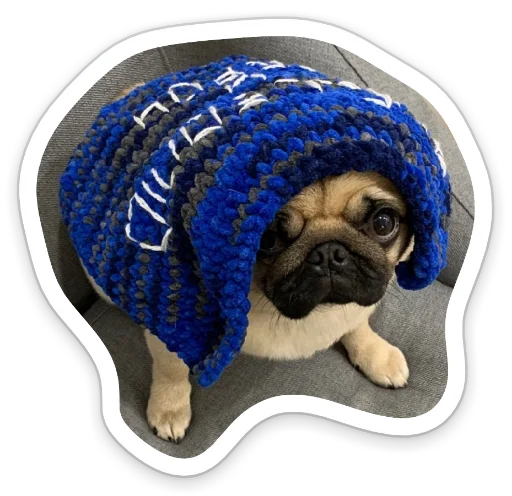 🥺 Стикер «sad_pug_leonid» для Telegram