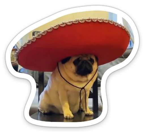 🍾 Стикер «sad_pug_leonid» для Telegram