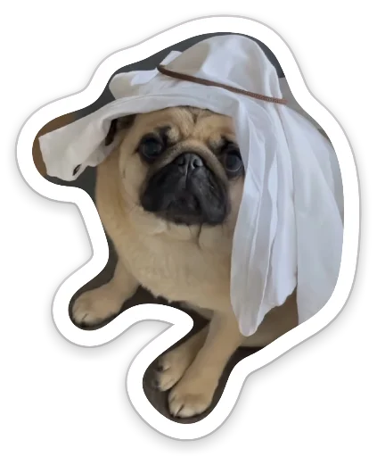👳‍♂ Стикер «sad_pug_leonid» для Telegram
