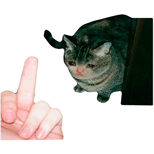 🖕 Стикер «Грустные коты» для Telegram