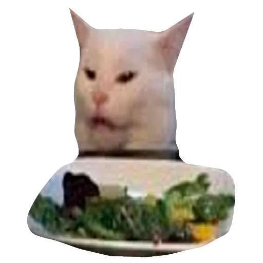 🥗 Стикер «Грустные коты» для Telegram