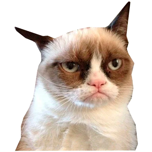 😾 Стикер «Грустные коты» для Telegram