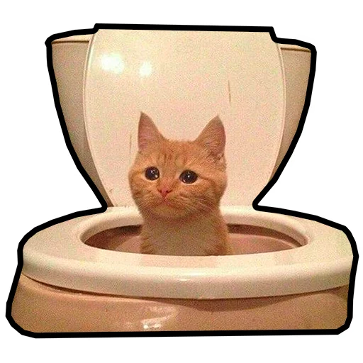 🚽 Стикер «Грустные коты» для Telegram