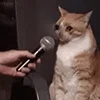 🎤 Эмодзи «sadcatemoji» для Telegram