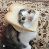 🍞 Эмодзи «sadcatemoji» для Telegram