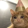 🥳 Эмодзи «sadcatemoji» для Telegram