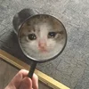 🥺 Эмодзи «sadcatemoji» для Telegram