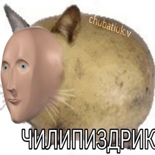 🥔 Стикер «СОДЕРЖАНКА» для Telegram