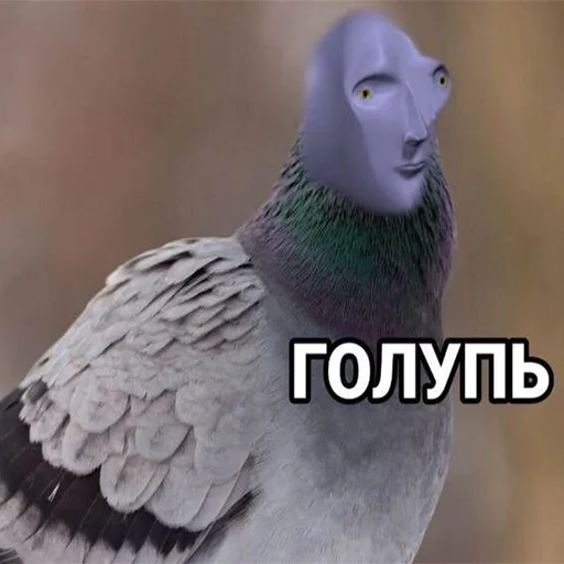 🕊 Стикер «СОДЕРЖАНКА» для Telegram