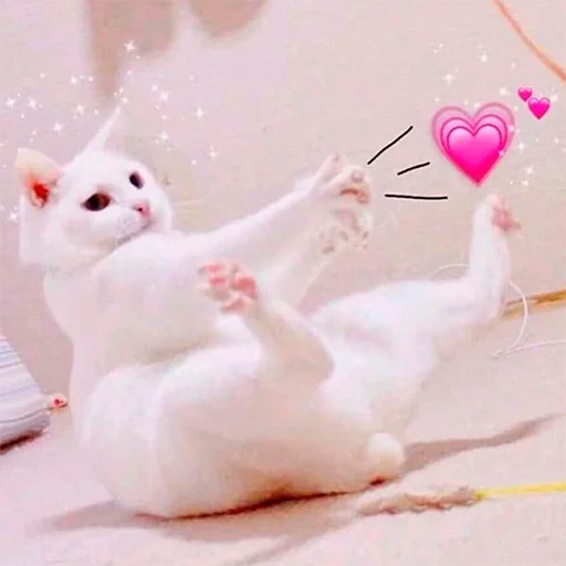 💕 Стикер «Murder» для Telegram