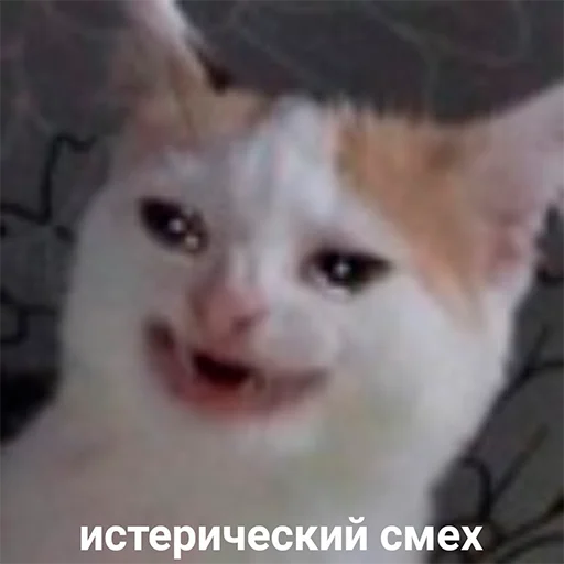 😂 Стикер «Murder» для Telegram