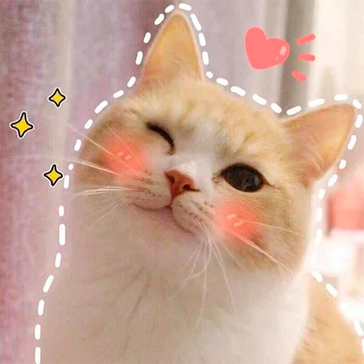 😉 Стикер «Murder» для Telegram