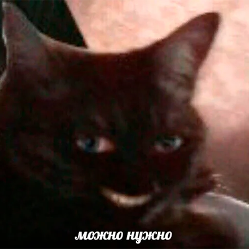 😏 Стикер «Murder» для Telegram