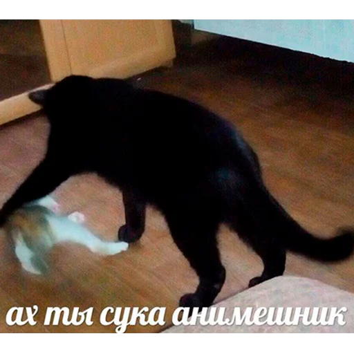 🥊 Стикер «Murder» для Telegram