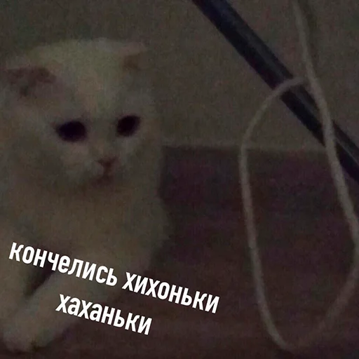 ☠️ Стикер «Murder» для Telegram