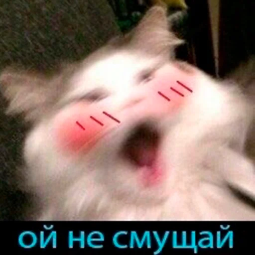 ☺️ Стикер «Murder» для Telegram
