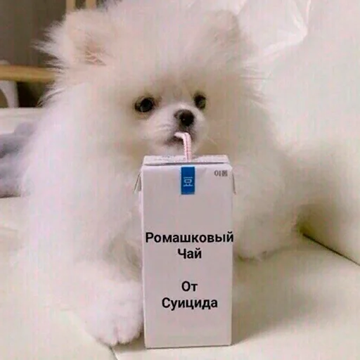 🥤 Стикер «Murder» для Telegram