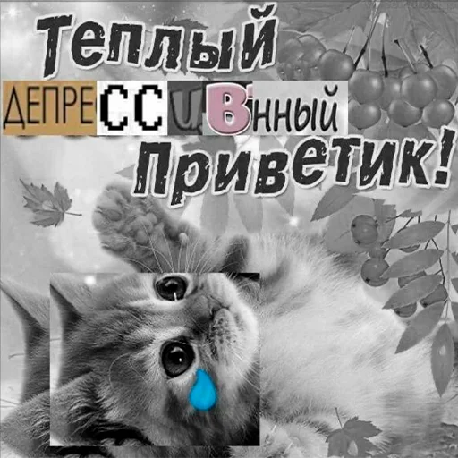 😢 Стикер «Murder» для Telegram