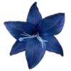 🪷 Эмодзи «Blue mixed» для Telegram