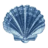 🐚 Эмодзи «Blue mixed» для Telegram