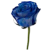 🌹 Эмодзи «Blue mixed» для Telegram