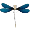 🪰 Эмодзи «Blue mixed» для Telegram
