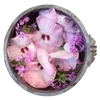 🌟 Эмодзи «шалфей» для Telegram